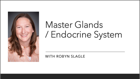 Masterglands / Endocrince System Part 2